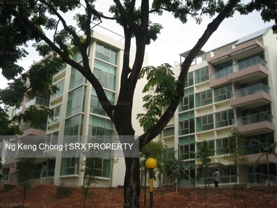 The Calrose (D26), Condominium #508345091